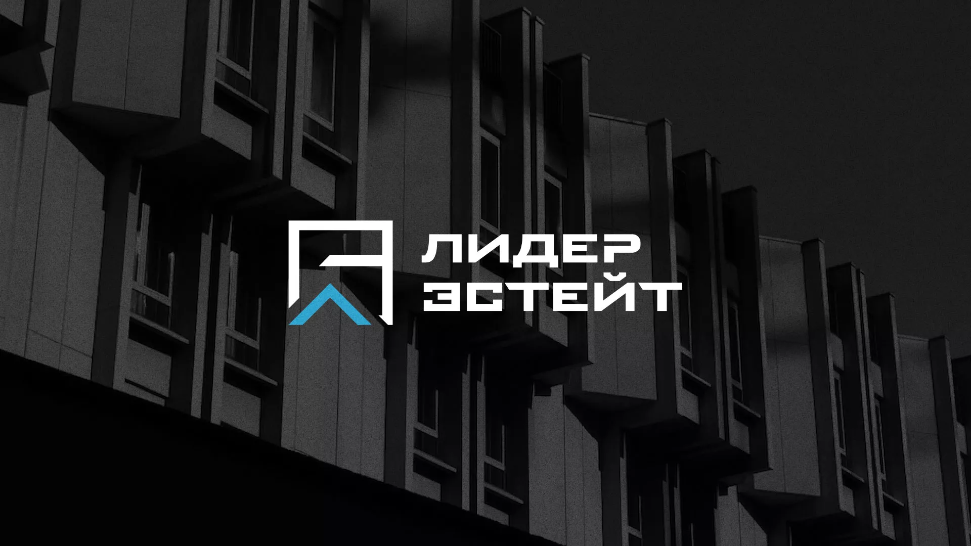 Разработка логотипа агентства недвижимости «Лидер Эстейт» в Макушино