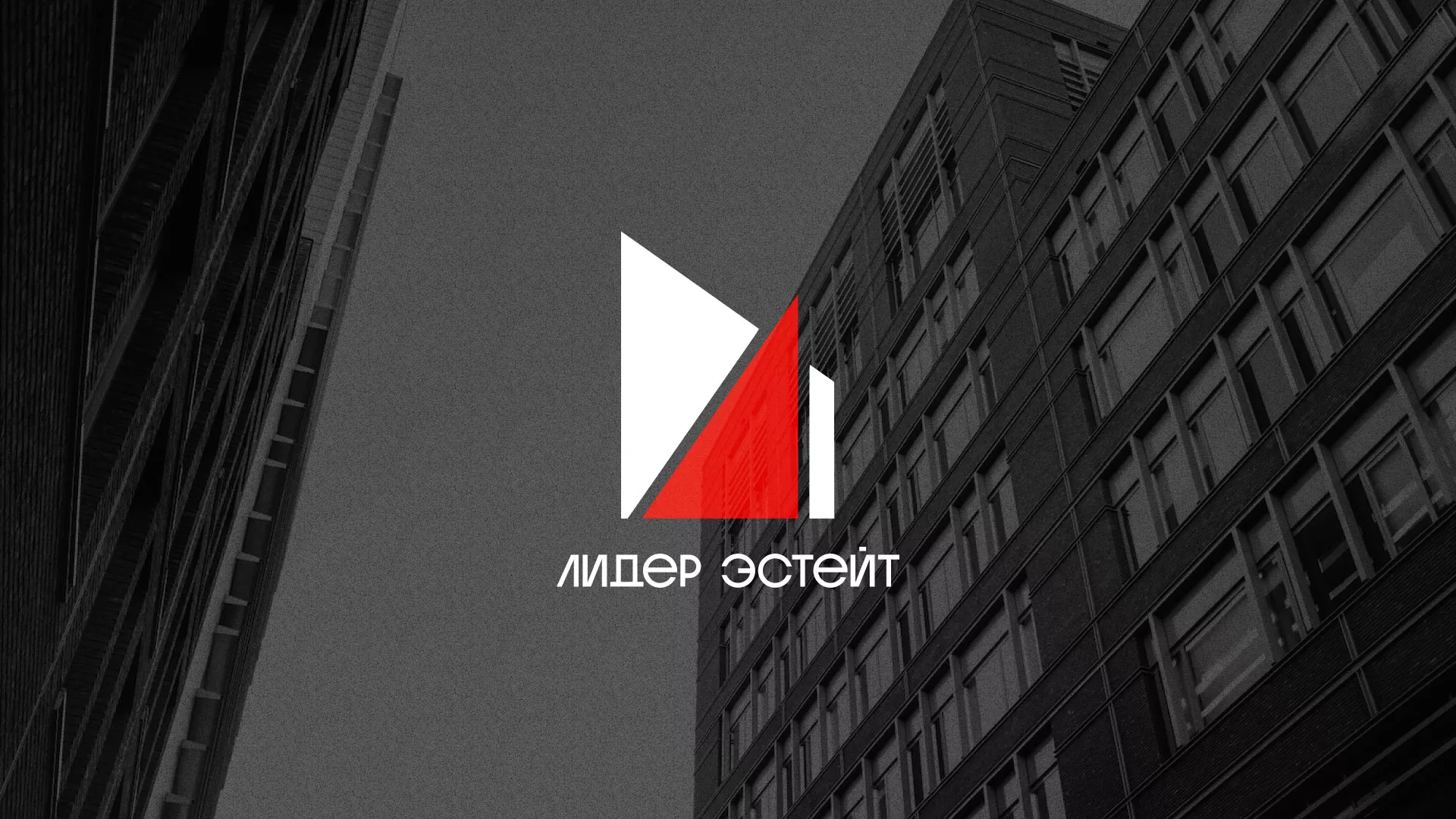 Сделали логотип для агентства недвижимости «Лидер Эстейт» в Макушино